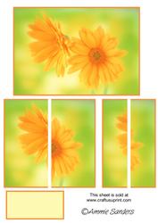 Gorgeous Orange Gerberas Side Stacker