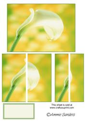 Simple Elegant Calla Lily Side Stacker