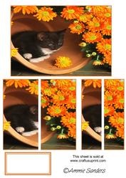 Kitten in a Plant Pot Surrounded by Orange Flowers Side Stacker
