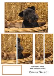 Black Dog in a Wicker Basket Side Stacker