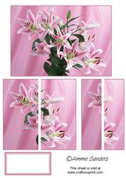 Pink Oriental Lilys Side Stacker