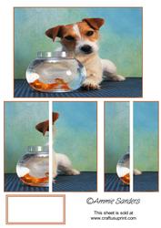 Cute Little Jack Russel & Gold Fish Side Stacker