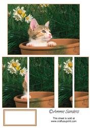 Cute Kitten in a Plant Pot Side Stacker