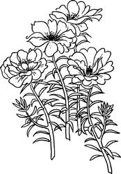 Portulaca Digi Stamp