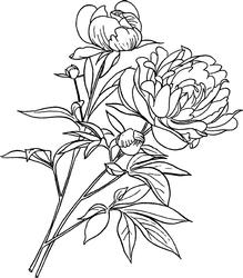 Peony Digi Stamp