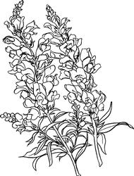Snap Dragon Digi Stamp