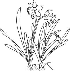 Daffodil Digi Stamp