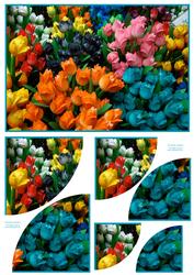 Amsterdam Tulips 2 Corner Stacker