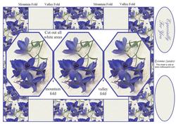 Pretty Blue & Cream Floral 3 Panel Pop Up Card