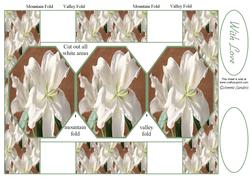 White Oriental Lili 3 Panel Pop Up Card