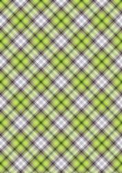 Plaid - Matching Beautiful Owl Watercolour Pyramid Topper