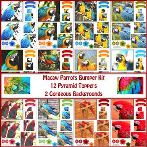 Magical Macaw Parrots Watercolour Bumper Kit