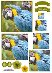 Macaw Parrot Watercolour Pyramid Topper