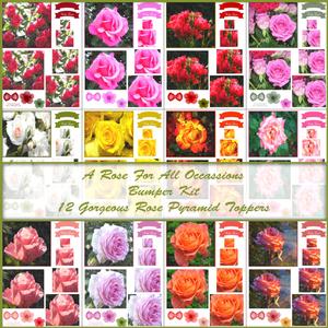 A Rose for All Occassions Watercolour Bumper Kit