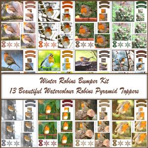 Winter Robins Watercolour Bumper Kit