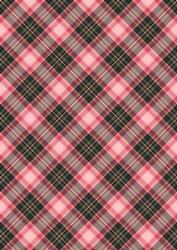 Plaid - Matching Pretty Rose Watercolour Pyramid Topper