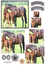 Beautiful Horse's Watercolour Pyramid Topper