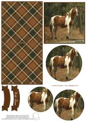 Wild Pony Mini Easel Card
