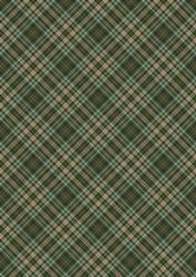 Plaid - Matching Winter Robin Watercolour Pyramid Topper
