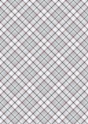 Plaid - Matching Winter Robin Watercolour Pyramid Topper