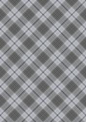Plaid - Matching Winter Robin Watercolour Pyramid Topper