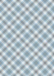 Plaid - Matching Winter Robin Watercolour Pyramid Topper