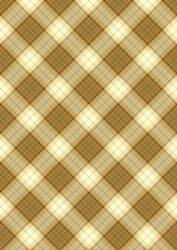 Plaid - Matching King of the Jungle Watercolour Pyramid