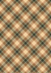 Plaid - Matching King of the Jungle Watercolour Pyramid