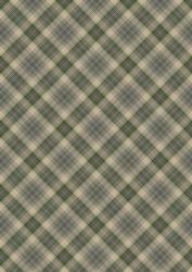 Plaid - Matching King of the Jungle Watercolour Pyramid