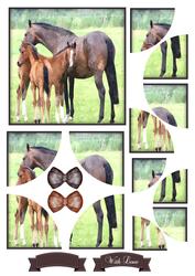 Beautiful Horses Watercolour Corner Stacker