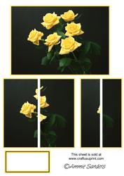 Beautiful Yellow Roses Side Stacker