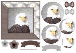 Eagle Watercolour 6x6 Card Front & Decoupage
