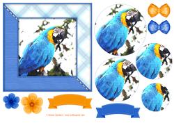 Macaw Parrot Watercolour 6x6 Card Front & Decoupage