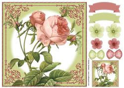 Vintage Rose 8x8 Topper & Embellishments