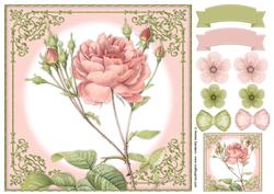 Vintage Rose 8x8 Topper & Embellishments