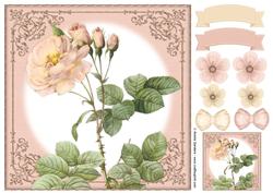 Vintage Rose 8x8 Topper & Embellishments