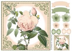 Vintage Rose 8x8 Topper & Embellishments