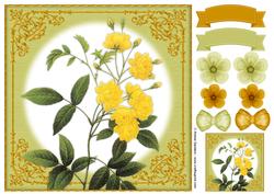 Vintage Rose 8x8 Topper & Embellishments