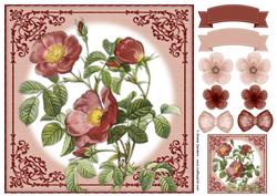 Vintage Rose 8x8 Topper & Embellishments