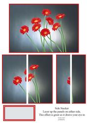 Stunning Red Gerberas Side Stacker