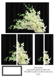 Eye Catching White Flower Srapy Side Stacker