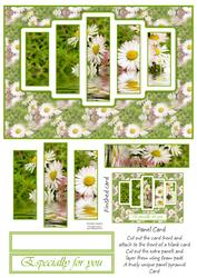 Pretty Daisies Panel Card Sheet