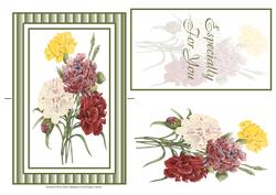 Stunning Carnations Spinner Card