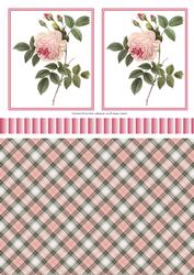 Pretty Pink Roses Toppers, Ribbon & Background