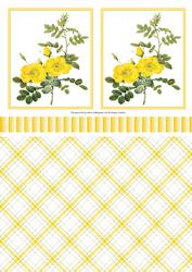 Pretty Wild Roses Toppers, Ribbon & Background