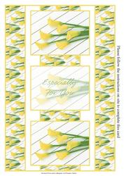 Stunning Yellow Calla Lilys 3 Panel Fold Back