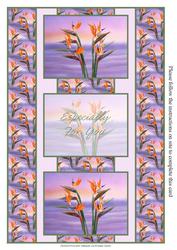 Bird of Paradise Flowers 3 Panel Fold Bac