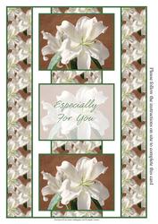Stunning White Oriental Lily 3 Panel Fold Back