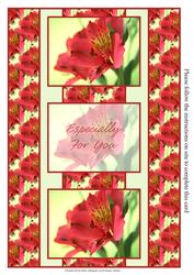 Beautiful Deep Pink Oriental Lily 3 Panel Fold Back