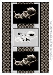 New Baby 3 Panel Fold Back